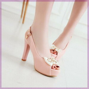 T_ fB[X p t I[vgD nCq[ q[ q[ `L[q[ ׃q[ sq[ ItBX rWlX ʋ tH[} ig \ TCY STC