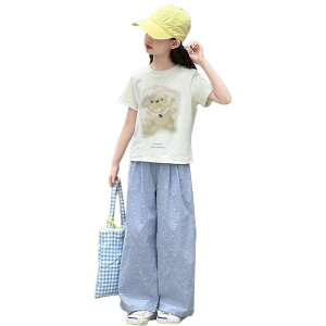 X|[cEFA K[Y LbY WjA h[p~J[  Chpc ZbgAbv t  _炩 ȍ |GXe  JWA i ʊw vg