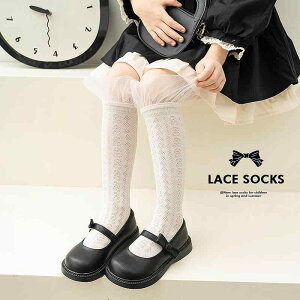 \bNX ̎q K[Y xr[ LbY [X t vZX j[nC nC\bNX   Rbg z ʋC t ubN  o 킢  ig