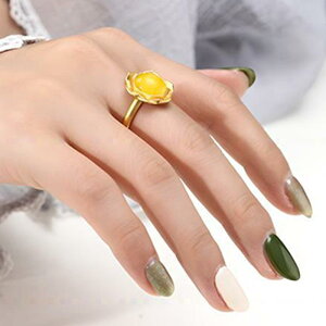 O fB[X @̉ `[t g GKg K18bL J{Vp g t[TCY ig ؂₩ i  dCbLH  ^CVo[