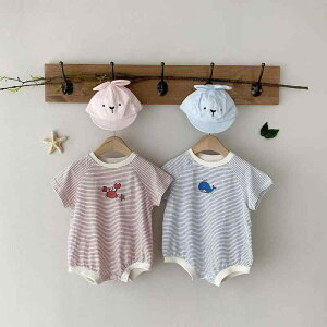 p[X xr[ j̎q ̎q  Rbg95%  {[_[ Jo[I[  ɗD ʋC ig  t jZbNX ؍ q