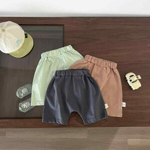 xr[pc jp Ԃ PPpc  n  Rbg _炩G  n[tpc ܕ {gX SEGXg Vv ig  [EFA 