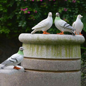 庭園置物 リアル 鳩 ハト オブジェ 樹脂製 合成樹脂 ガーデニング 庭 ベランダ エントランス 装飾 イベント デコレーション 彫刻 白 グレー