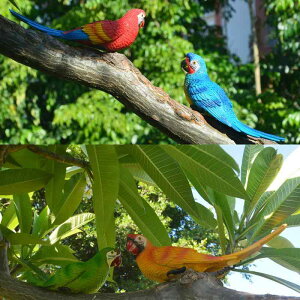 CeAIuWF tFCNIE  Ǌ|  u I[ig  rO Xܑ fR[V ؂̎}