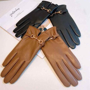  fB[X U[ v tFCNU[ H~ h ۉ g N  ܖ{w 5{w O[u AEghA TCNO oCN ] ʋ ʊw h h J[L ubN 