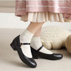 [WF[V[Y fB[X JWA n  EhgD tbg [q[ q[ Xgbv w ʊw g Abp[PVCf ؊v 傫TCY t AC{