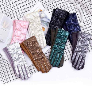 O[u fB[X p ~p   h h h ۉ g Vv ܖ{w X}zΉ TCNO ] oCN ^] AEghA ʋ ʊw ig H ubN