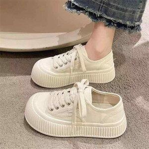 Xj[J[ fB[X p  vbgtH[ X^CAbv g LoXV[Y z NbV _炩ȗSn zCg  [Jbg JWA ig ʊw 