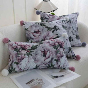 NbVJo[ Jo[ A ԕ || k Ȗ l \t@ o rO   킢  w sN O[