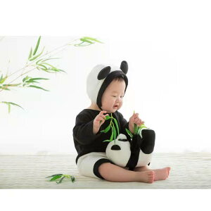 xr[ V bT[p_  ߑ RX`[ p[X Xq ʂ Zbg LOBe Sj tHgX^WI ʐ^Be Rbg