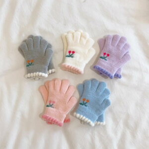 LbY xr[ j̎q ̎q c ܖ{w O[u g h  `F[ 킢 iCf ʉ o ig H~ 1-5Ό sN u[ zCg