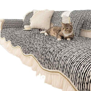 \t@Jo[ VFj[D ό`Ή L^Ή ~  U[ I[V[Y t XgCv ubN O[ uE AC{[ h~ ʕی