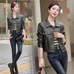 U[WPbg fB[X tH V[g {v rv U[ vu] g  ؍  I[o[TCY ؂ւ ʋ ItBX ꂢ iAE^[ O[ u