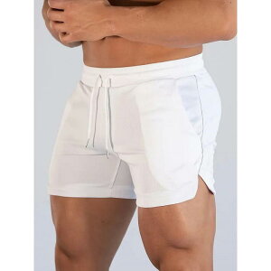 X|[cV[gpc Y jO WMO tBbglX g[jO WEFA Zp  bV ʋC y n[tpc z AEghA r[` JWA |