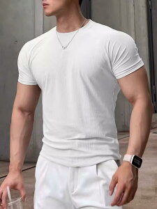 TVc Y jp X|[c  t g[jOEFA tBbglXEFA Lk Xgb` X אg N[lbN ؃g  hC ʋC jO WMO