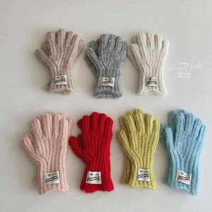  fB[X ؍ jbg O[u O ܖ{w  bh n ^b`plΉ ۉ h TCNO ~ ig 킢