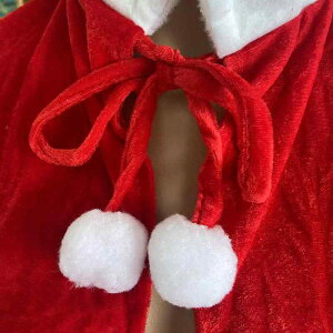 }g qp LbY j̎q ̎q NX}X p[eB[ Cxg \   P[v |` V[ RX`[ ߑ  xA xxbg ~