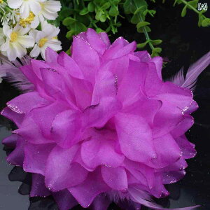 Xgu[P RT[W ؍ H tFU[ 킢 i  bh EFfBO  uC_ ԉ uCYCh \ _XCxg p[eB[ 