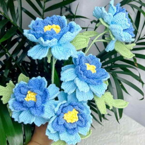 ҂݉ԑ ҂ ю Ỏ AtK҂ j҂ i nhCh v[g Mtg CeA  IuWF  EFfBO Be  킢 u[P A