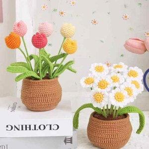 A ю ҂݉ NVF `[bv qiMN ҂ nhCh ~jTCY  CeA IuWF   rO 