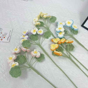  pW[ nhCh ю҂ j҂ ԑ u[P CeAG  rO ItBX u tFCNO[   IW sN  