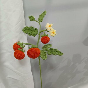 CeAG ҂ ~jg}g ҂ ю jbg ԑ u[P A |bg tFCN A u  v[g Mtg 蕨 