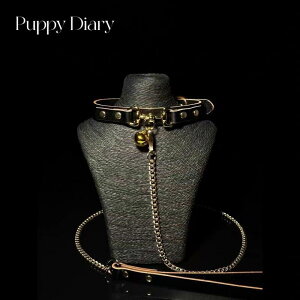 `[J[ jp U[ v  SM [ht  n[g^ At@xbg ZNV[ tFeBbV ybgvC lbNX ANZT[