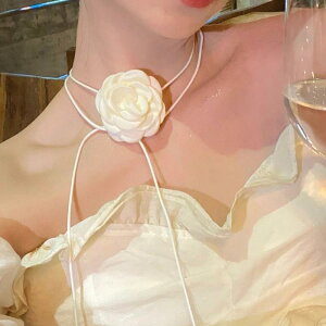 lbNX fB[X }`EFC `[J[ JA [Y t@ubNt[ { U[R[h O^Cv nhCh I  t