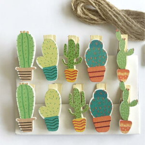 tHgNbv ؐ ~j ʐ^ Ǐ J[h R DIY ct  CeA fBXvC  i` 킢  G