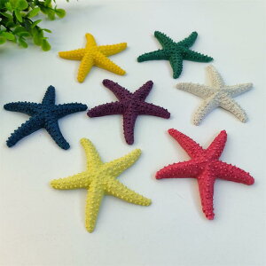 CeAG qgf X^[tBbV A  EH[fR Ǌ| ݂艺 }eCXg nC ANAE  I[ig u fBXvC i F Jt