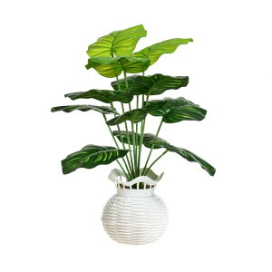 tFCNO[ 12t ϗtA A A     IuWF rO  ItBX Bep