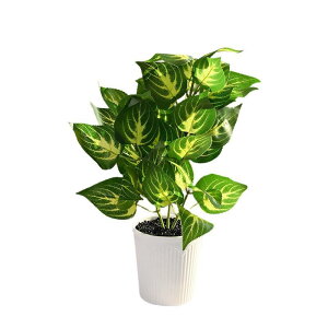 tFCNO[ lHϗtA A  t@ubN A vX`bN  CeA u IuWF rO sv  ig 35cm