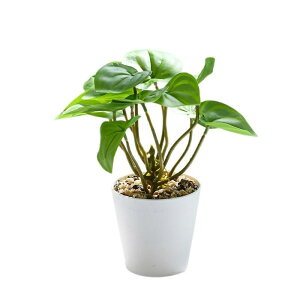 tFCNO[ XCJ̗t O[ ~j A  t[ CeA   u IuWF rO  ItBX ͂Ȃ sv sv