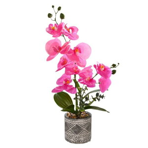 ϗtA  Ӓ 3Dvg AȎ tFCNt[ A ~ CeA  z[fR[V rO  ItBX  zCg sN p[v 