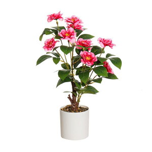  } o ^ A lHϗtA tFCNO[ AȎ CeA IuWF  rO   킢 t[