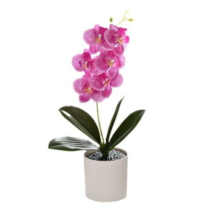  Ӓ A tFCNO[ lHϗtA CeA u fBXvC  rO ItBX  EFfBO  A {   sN