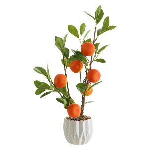 tFCNO[ lHϗtA  t[c IW  LJ S UN   CeA rO  ItBX X 킢  A u IuWF |bg 