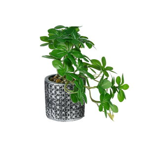 tFCNO[ ݂艺 ϗtA ~ A Ǌ|   { CeA   rO  ItBX sv