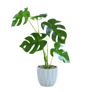 ϗtA tFCNO[ Xe A  A sv CeA  tAfBXvC u rO ItBX Xܑ Be EFfBO