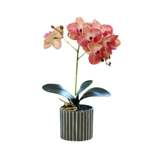 造花 8輪胡蝶蘭 ミニ盆栽 鉢植え リアル フェイクグリーン 高さ32cm インテリア装飾 室内 リビング 玄関 置物 枯れない お手入れ不要 ギフト