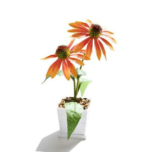  GLiZA ~jA lHϗtA tFCNO[ t[  CeAG u IuWF rO  fR[V Bep A ͂Ȃ 27cm