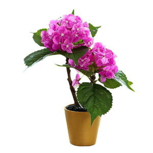  A tFCNO[ AWTC z A ~j`A CeA u   킢 rO  Q sv ͂Ȃ u[ sN p[v