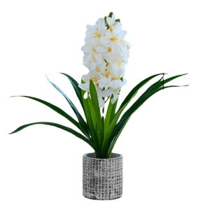  qVX ~ CeA tFCNO[  rO _CjO ze X fBXvC Be A[gt[ |bg t[