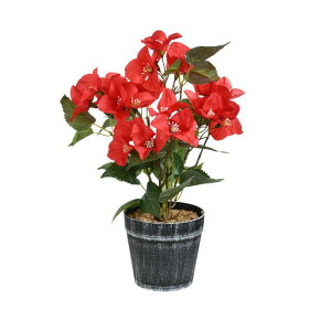  tFCNO[ u[QrA ~j~ t[   A CeA  u rO ֏