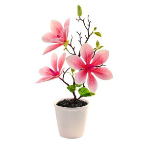 tFCNO[ AȎ }OmA A  ~ t[   CeA lHϗtA rO ItBX  fBXvC IuWF