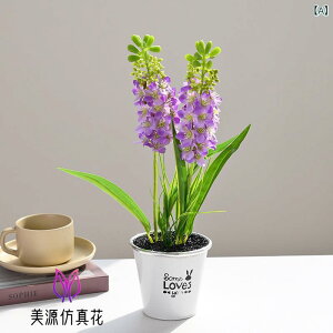  2փqVX ~ A ACA|bg tFCNO[ lHϗtA 38cm rO  ItBX   CeA u 