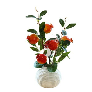 tFCNO[ lHϗtA  t[c~j~ pu CeAG 킢AȉʕIuWF 30cm sv rO ItBX ֑