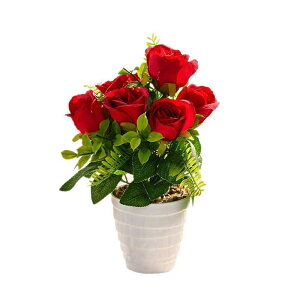  [Y 7 KN ~jA |bg tFCNO[ lHϗtA rO  ItBX fXN CeAG fBXvC IuWF t[