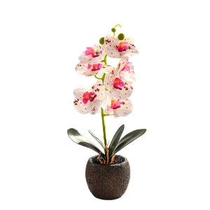  Ӓ 7{ A t[ tFCNO[ A lHϗtA rO  ItBX  CeA u  Zg