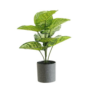 観葉植物 フェイクグリーン 人工観葉植物 万年青 大型 室内 鉢植え 置物 おしゃれ インテリア リアル 本物そっくり お手入れ不要 リビング オフィス 玄関 カウンター装飾 グリーン 白 赤